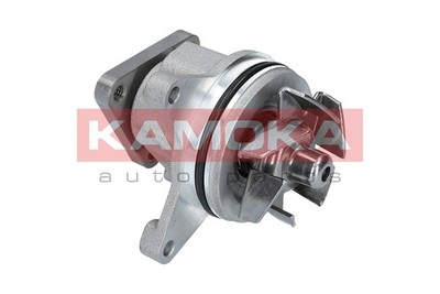 Kamoka T0136 Water Pump, Engine Cooling for Aixam Alfa Romeo AMC BMW CHEVROLET CI