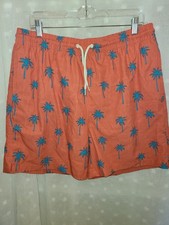 Men  s Wave Zone Swim Trunks, Size Large
