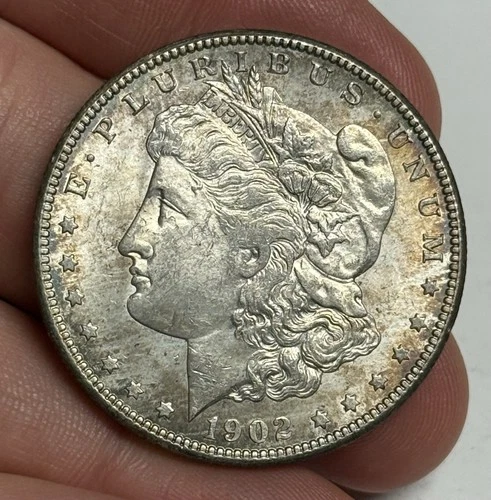 Toned AU 1902-O Morgan Silver Dollar (All Original), U.S. $1 Coin Almost UNC