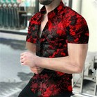 Foto 7 di 9