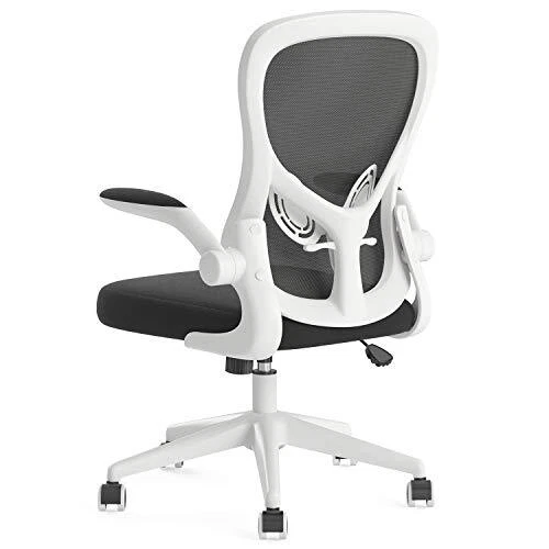 Hbada Ergonomic Desk Chair Computer Office Chair with Flip up