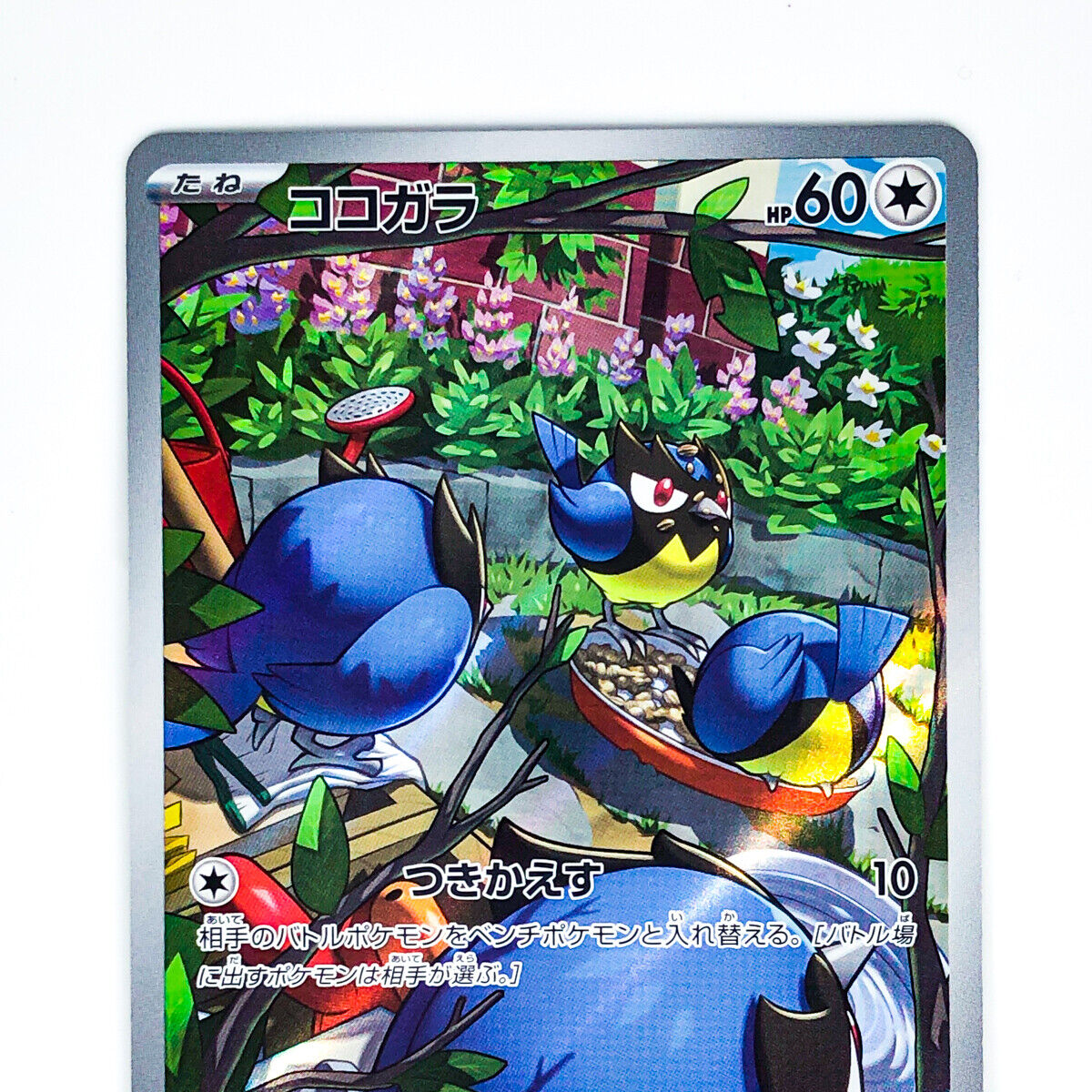 Rookidee AR 082/071 SV2P Snow Hazard - Pokemon Card Japanese Rookidee AR 082/071 SV2P Snow Hazard - Pokemon Card Japanese