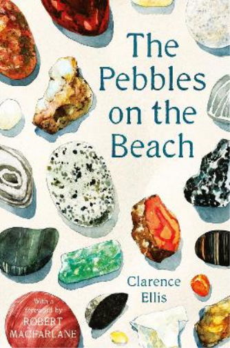 Clarence Ellis The Pebbles on the Beach (Tascabile)