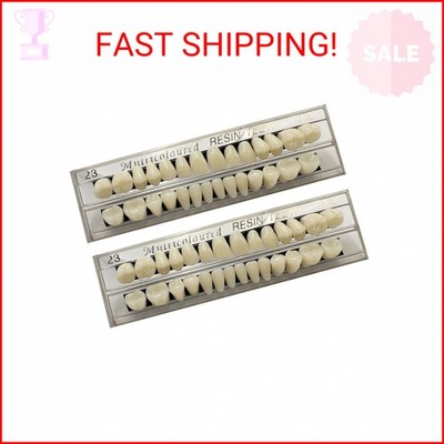56 Pcs False Teeth Fake Teeth 2 Sets Synthetic Resin Dental Tooth, Upper and Low