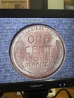1909 VDB Lincoln Wheat Cent Penny MS Choice Uncirculated RB Glow penny historic