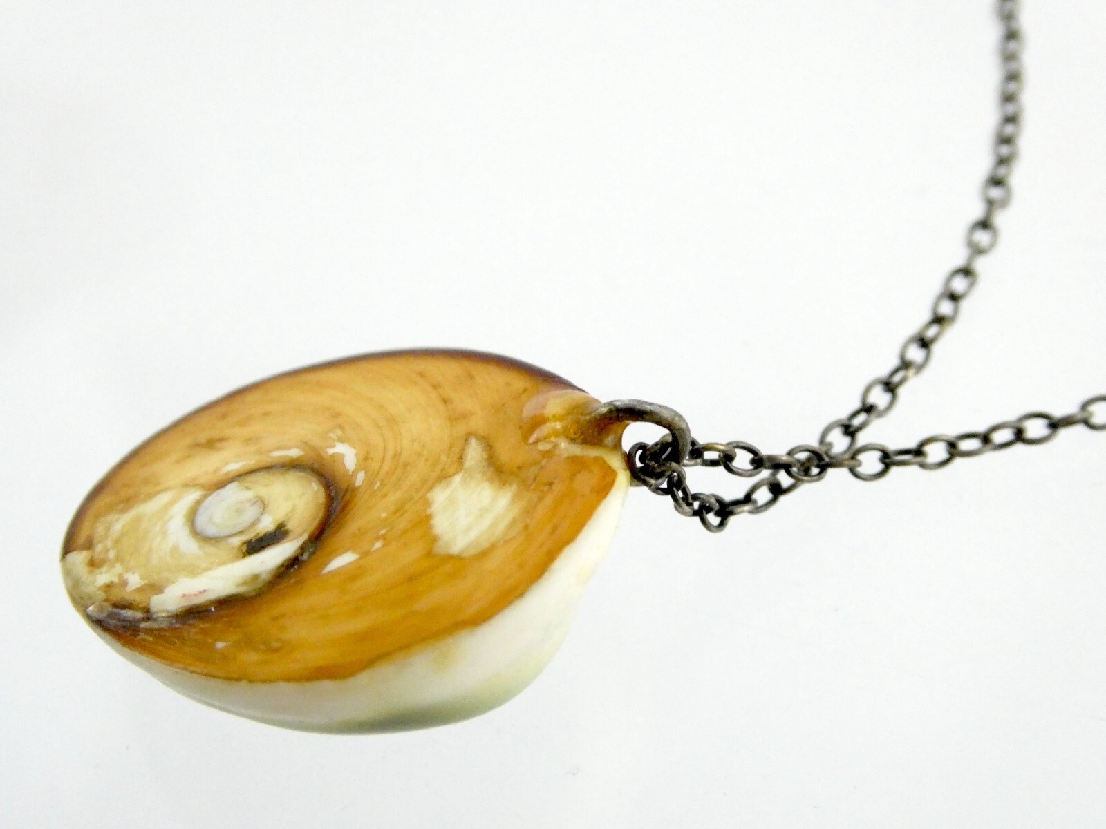 Sterling Silver Snail Shell Operculum Pendant Nec… - image 8