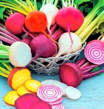 Rainbow Blend Beet Seeds NON-GMO 100+ SEEDS  --BUY 4 ITEMS FREE SHIPPING