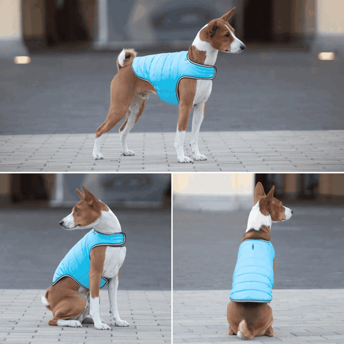 Dog Winter Coat for XSmall Dogs Blue Waterproof Dog Warm Jacket XS Size - Picture 7 of 7