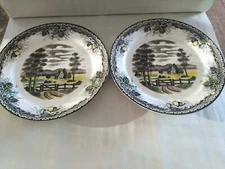 Vintage Spring Valley Dish Set Of 2