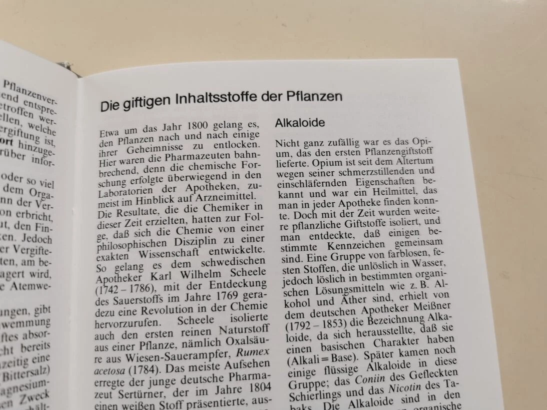 Bild 7 von 17