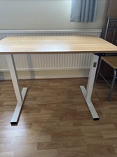 FLEXISPOT Electric Standing Desk (100x60cm)