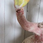 Foto 5 di 24