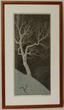 Yasushi Omoto Japanese Woodblock Print "Betula Birch" Limited Edition 100