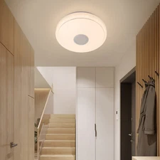 Modern LED Ceiling Light Color Changing Light with Remote Control For Home