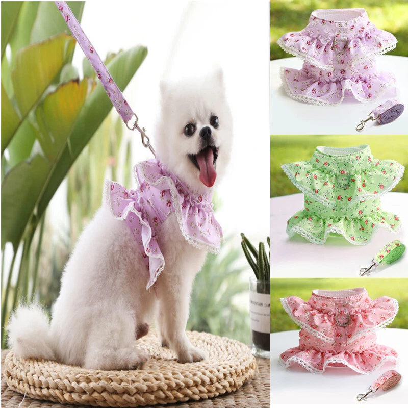 Dog Harness With Leash Adjustable Soft Padded Pet Vest Flower Lace For Small