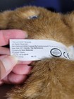 Nintendogs Pet and Play Corgi Dog Puppy Interactive Plush 2007 Certificate — photo 10