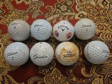 Greenbrier Resort Hotel & Gonzaga Bulldogs Logo Ball 8 Balls 7 Titleist Callaway
