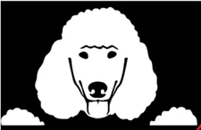 Peeking Poodle - White Vinyl Decal Car Truck Window Laptop Notebook Tablet