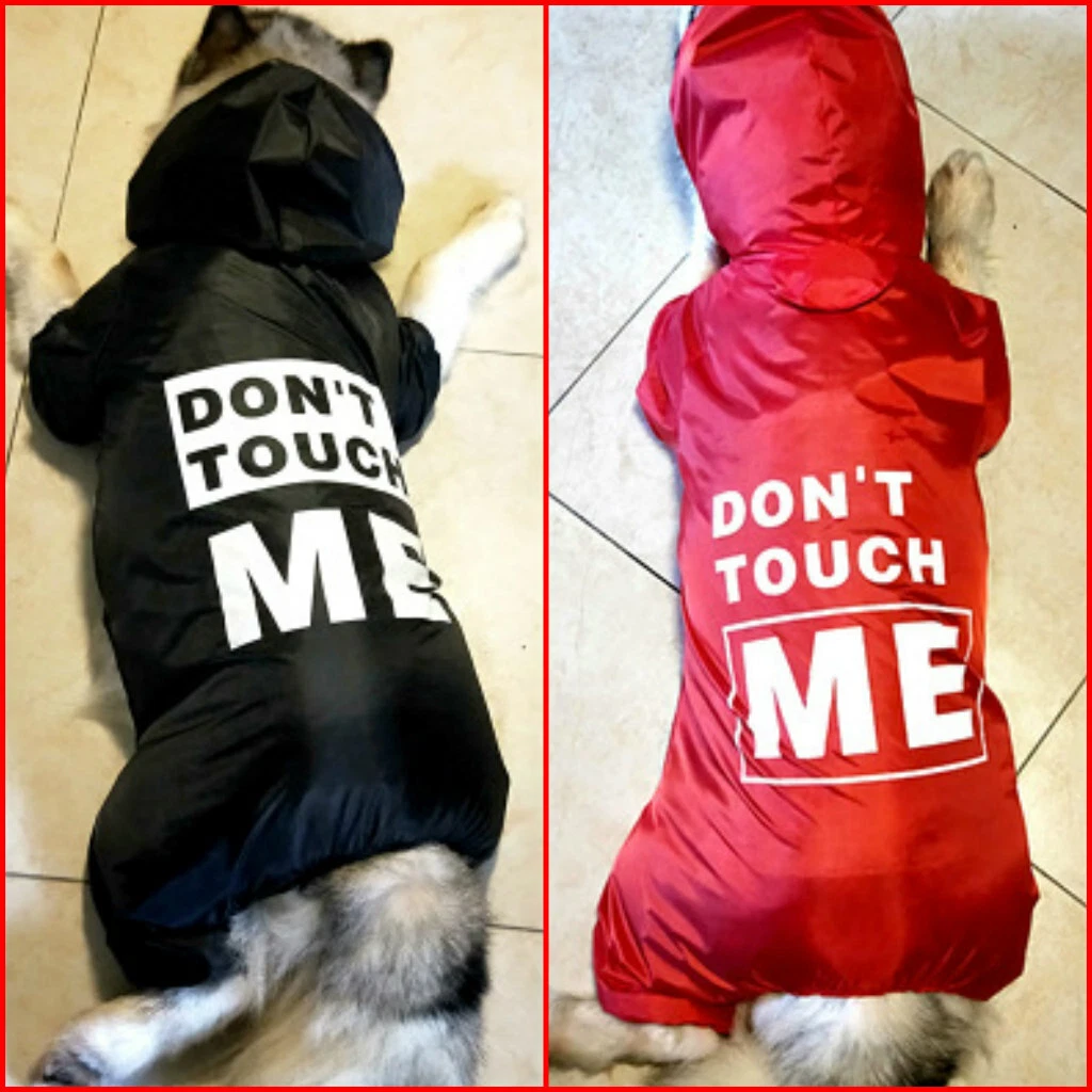 Doberman raincoat shop
