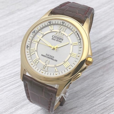 #ad Citizen Exceed Eco Drive Radio Controlled Men#x27;s Watch Used $334.37