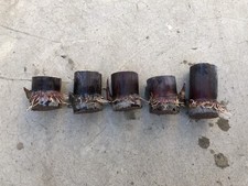 5pcs Dark Purple Sugarcane Cutting Sweet And Juicy Ready To Plant