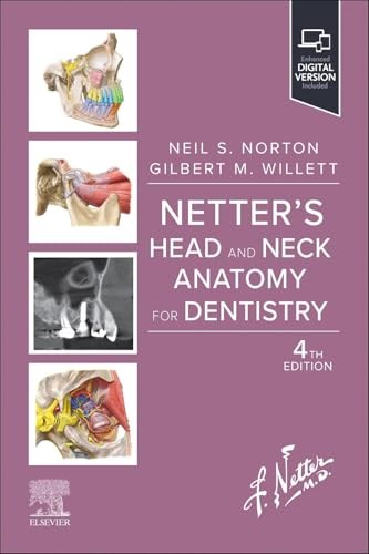 Netter's Head and Neck Anatomy for Dentistry (Netter Basic Science) - Image 3