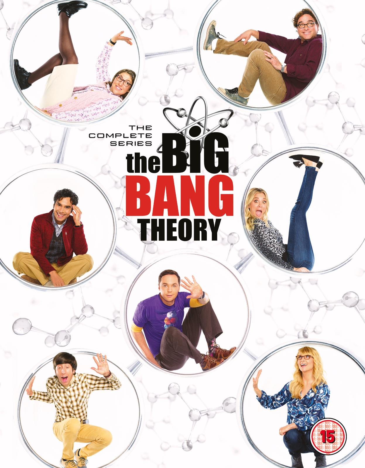 The Big Bang Theory: The Complete Series (DVD)