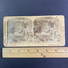 Children Feeding Birds Stereoview M. Knoedler Antique c1879 Y11070 REPAIRED