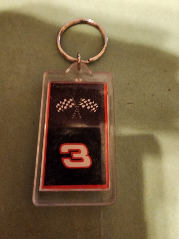 Vintage #3 Racing Dale Earnhardt 