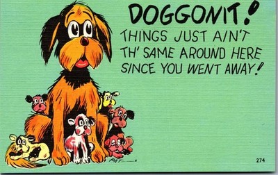 Vintage Comic Humor Postcard Things Ain't The Same Around Here  Cute Dogs