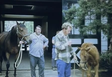 c1970s Churchill Down Horse Stables Kentucky Derby Louisville VTG 35mm 2 Slides