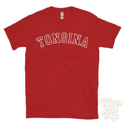 TONSINA T-SHIRT RETRO VARSITY STYLE alaska copper river census area