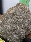 Blue Kyanite Crystal Cluster In Matrix From Amelia, VA with garnets ~ 4.5"x3"x1" — photo 4