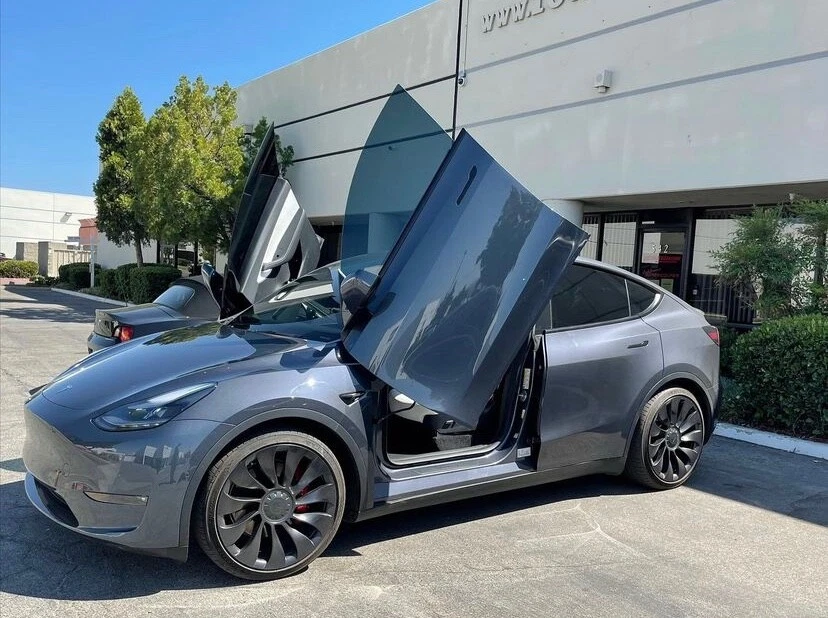 Butterfly door tesla deals