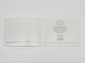 Heavy Shreddin' Authentic Original NES Nintendo Manual Only