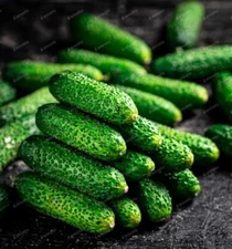 Cucumber seёds, 100 SNACK cucumber seёds, organic cucumber SW1144+TRACK