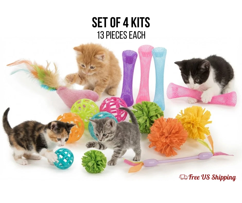 Smarty Kat Variety Toy Value Pack for Pets 13 Pieces Set of 4