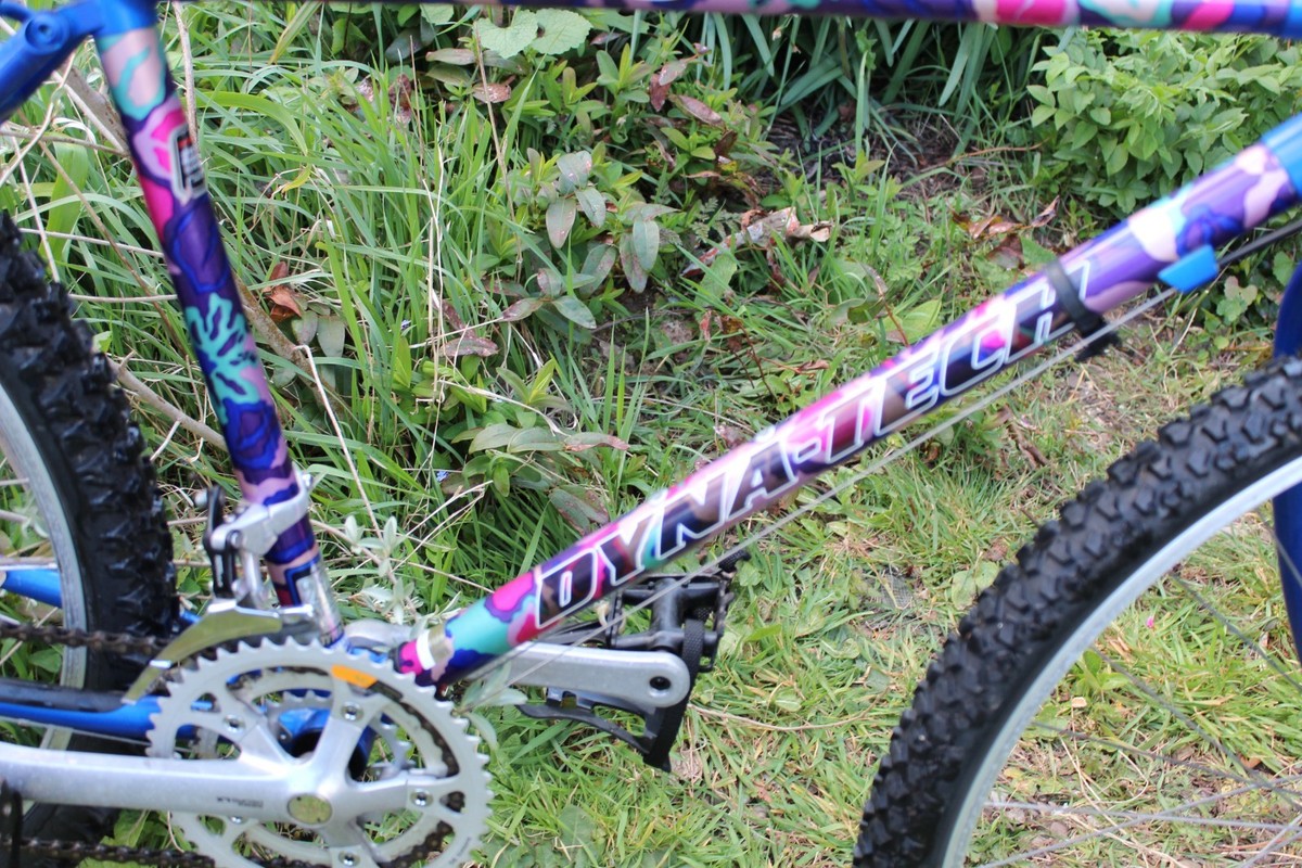 Vintage Raleigh Dynatech Dyna -Tech 2125 Diablo Titanium Retro MTB