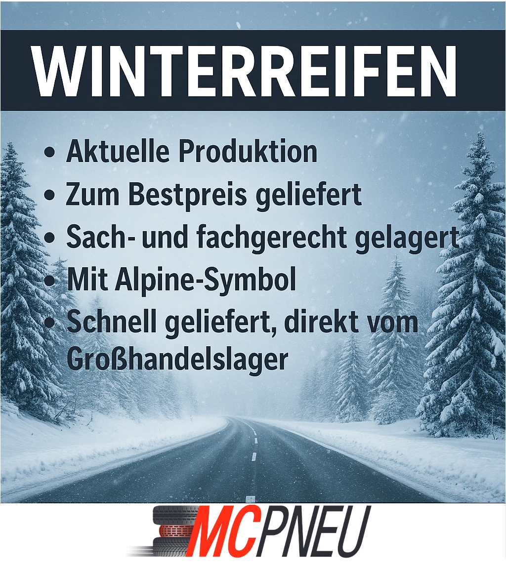 Bild 2 von 3