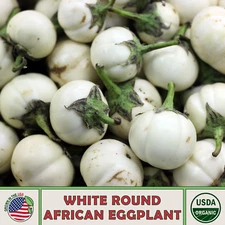 20 White Round African Eggplant Seeds, Solanum melongena, Organic, Genuine USA