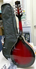Vangoa 8 String Electric Mandolin VMD40CE-RE Bundle — photo 5