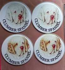 clumber spaniel