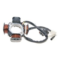 Lichtmaschine Stator FüR Pegasus Sky Corona Sport R50X TGB 101 203 303 Bullet