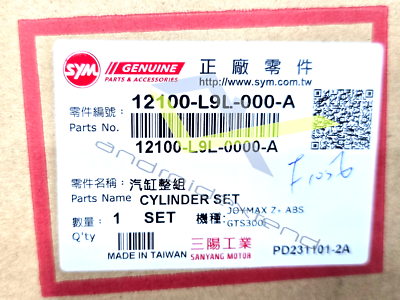 SYM Cruisym GTS Joymax Citycom300 Quadlander300 Cylinder Kit 12100