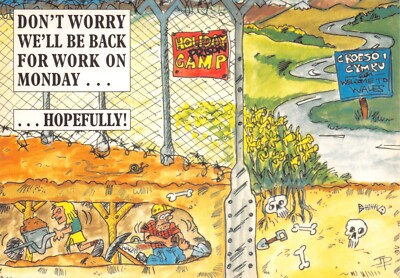 MODERNE COMIC POSTKARTE WALES KONTINENTALGRÖSSE UNGEBRAUCHT V GD POSTFRISCH