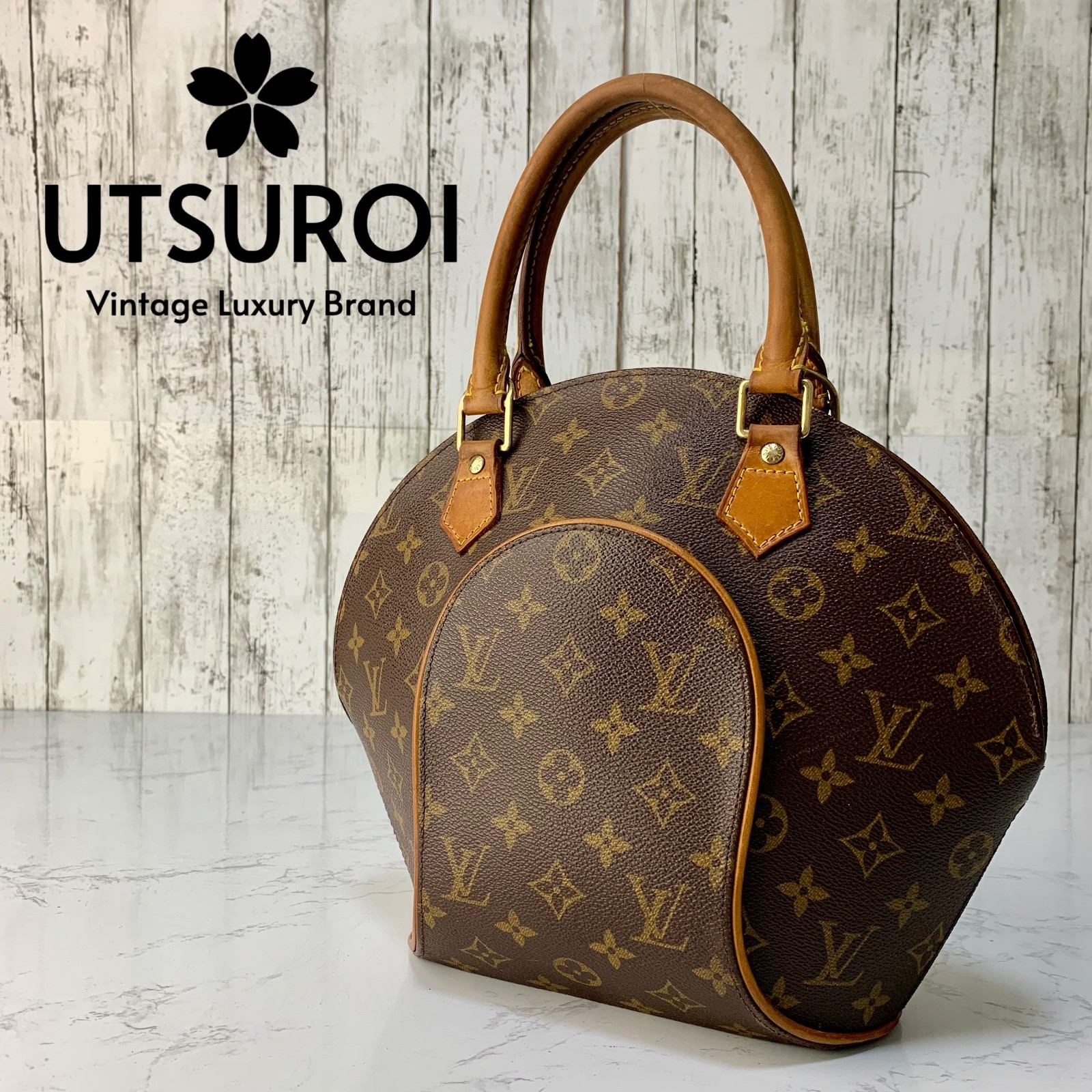 LOUIS VUITTON Ellipse PM Monogram Leather Handbag M51127 Authentic【Condition:A】