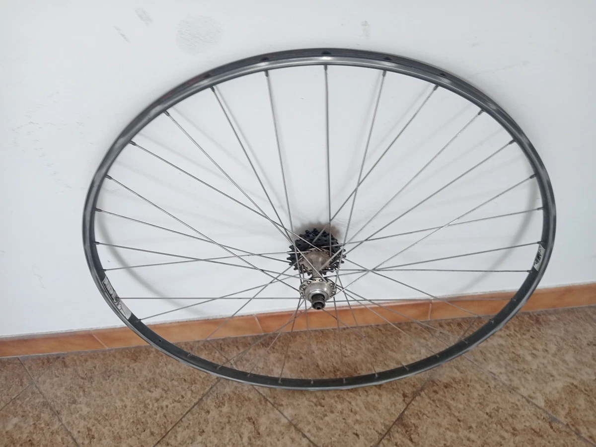 Newmen Ruota Posteriore - Streem Allround A.54 - 28 | Carbonio
