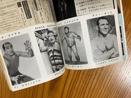 1971 Japan Magazine Gong- Uncut Wrestler Card No. 19, Postcard - Terry Funk - Picture 2 of 12
