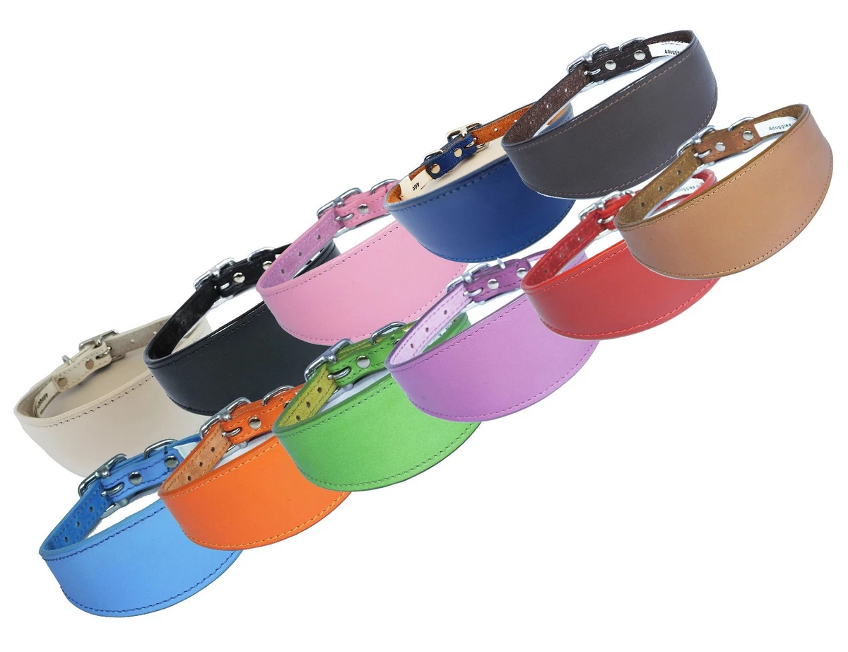 Plain Leather Whippet Collar Padded Suede Lined Greyhound Collars Dog Collars