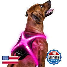 Light Up Dog Harness  Multicolor LED Dog Harness with 7 Lighting Modes  No Pull